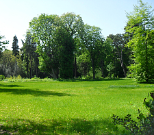 Wätjens Park 
