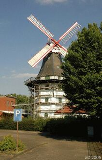 1. aktuelles Bild von Horner Mühle
